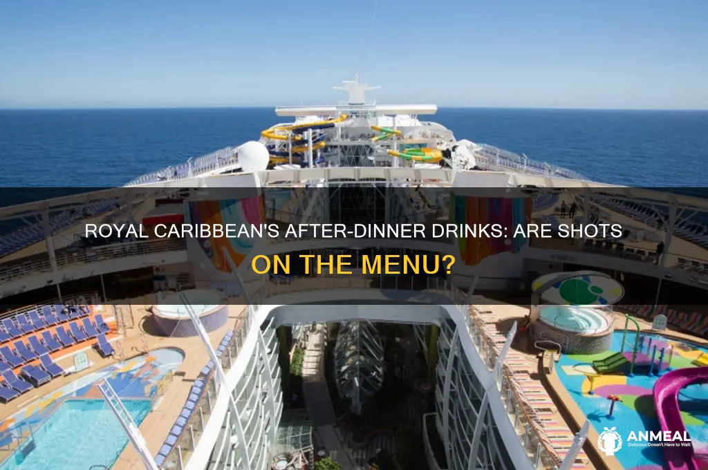 does royal caribbean offer drink shots after dinner