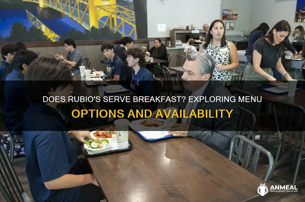 does rubios do breakfast