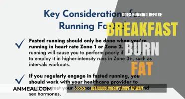Running Before Breakfast: Effective Fat Burn?