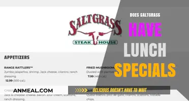 Discover Saltgrass Grill's Lunch Specials: A Midday Delight Awaits!