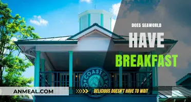 SeaWorld Breakfast Options: What to Expect at the Park