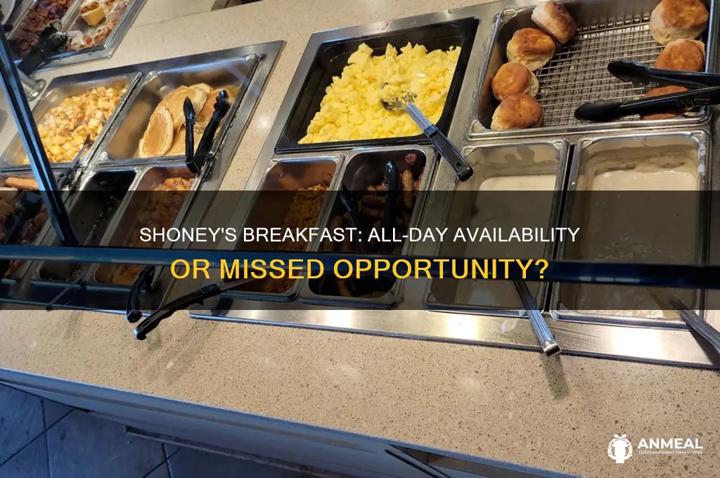 does shoney