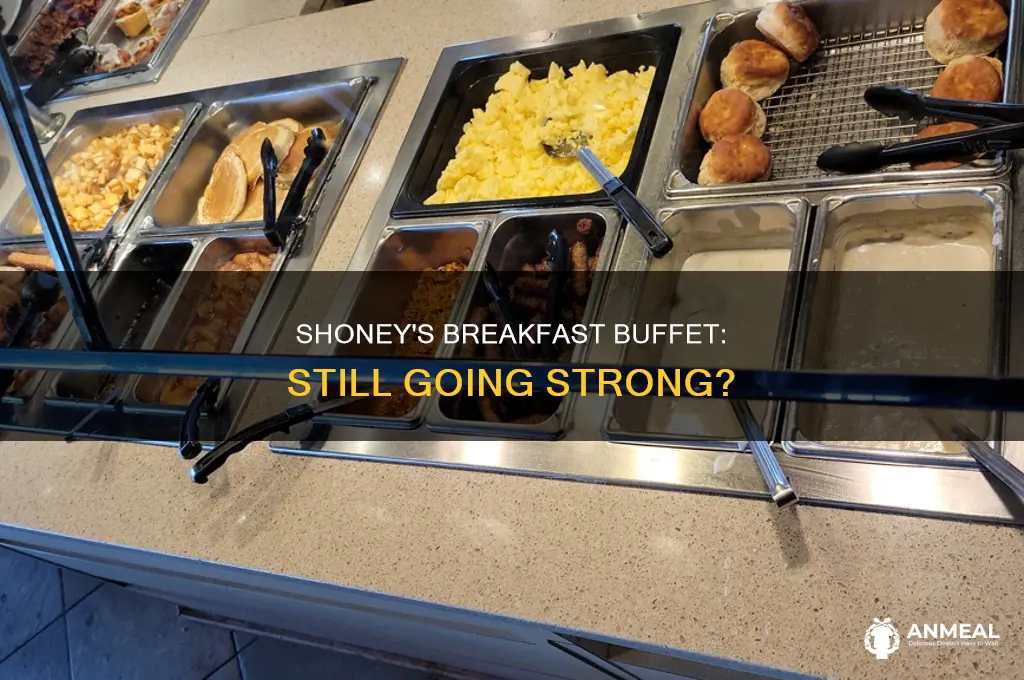 does shoneys restaurant srill have a breakfast buffett