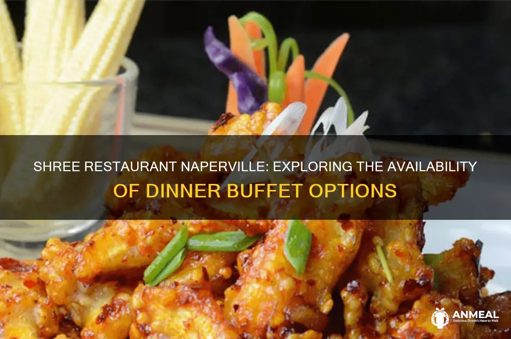 does shree restaurant naperville have dinner buffet