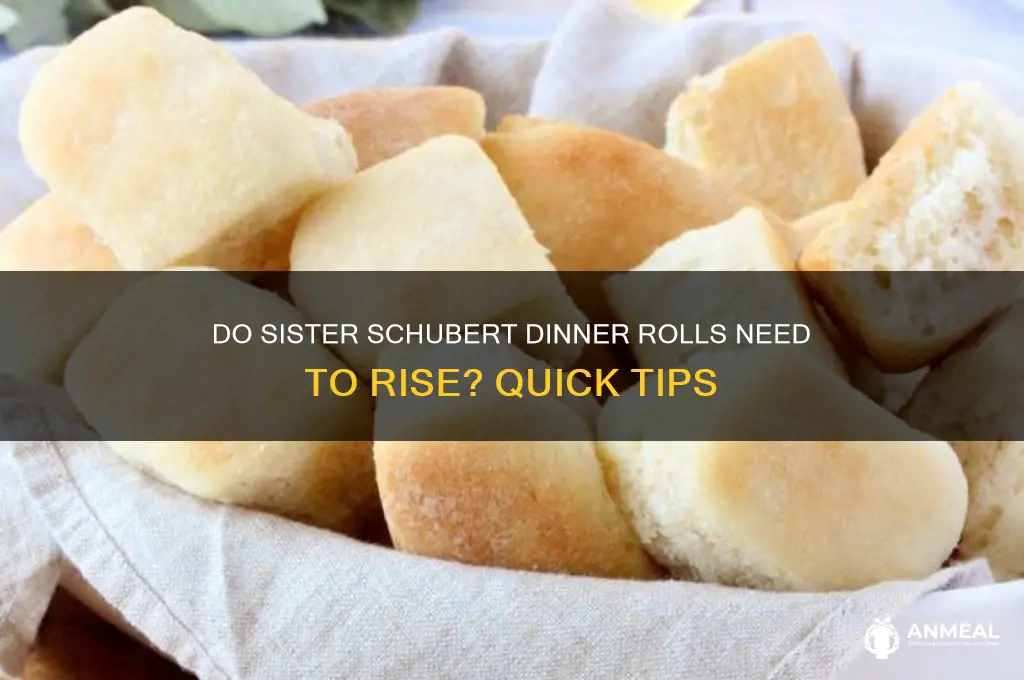 does siater schubert dinner rolls need to rise