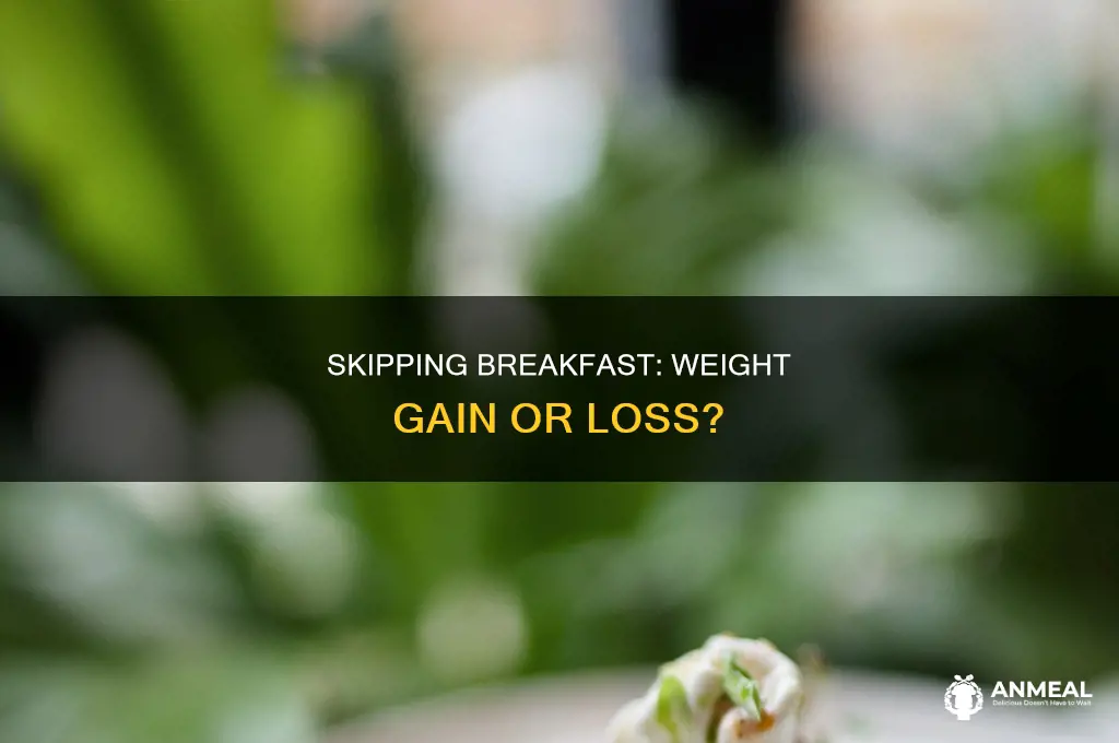 does skipping breakfast contribute to weight gain