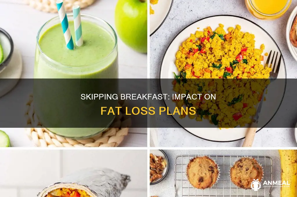 does skipping breakfast effects fat lose program