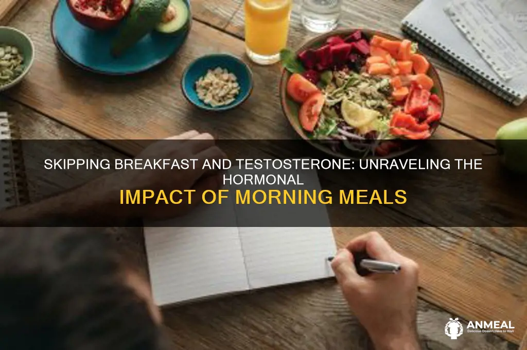 does skipping breakfast increase testosterone