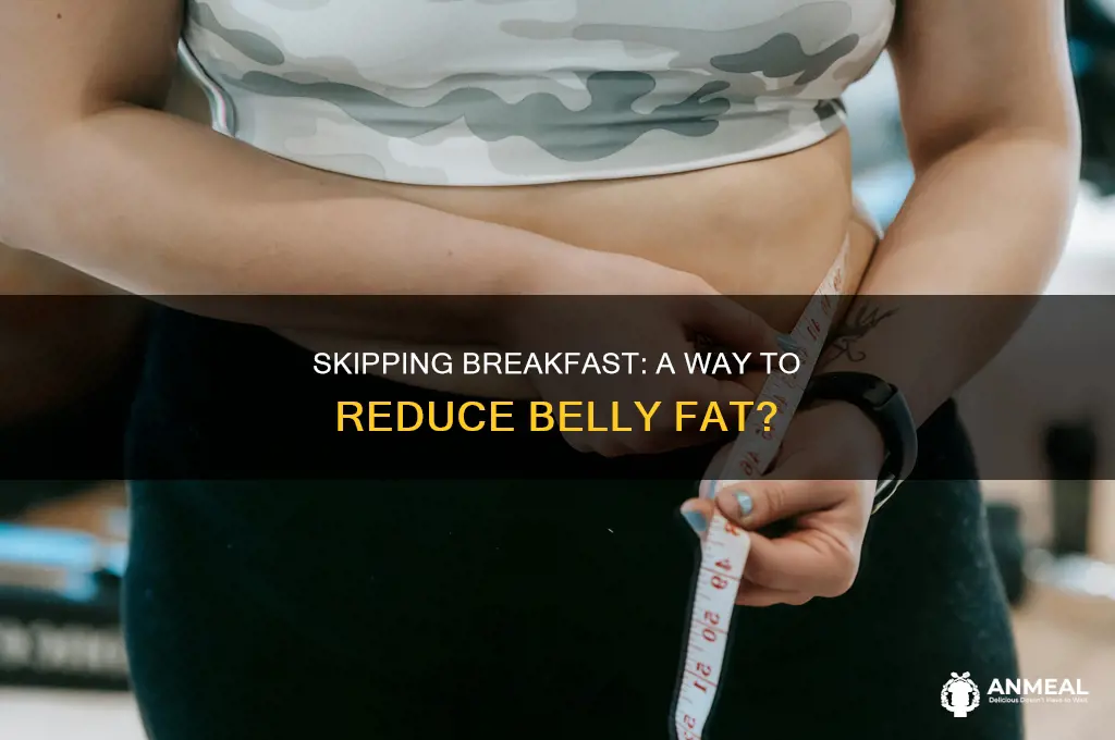 does skipping breakfast reduce belly fat