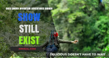 Is Smoky Mountain Adventures Dinner Show Still Open?