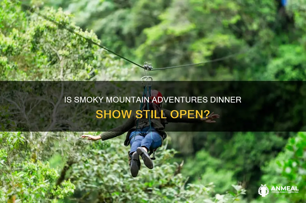 does smoky mountain adventures dinner show still exist