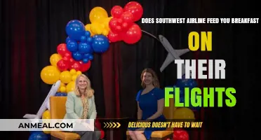 Southwest Airline Breakfast: What to Expect on Morning Flights