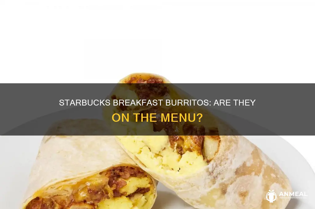 does starbucks have breakfast burritos