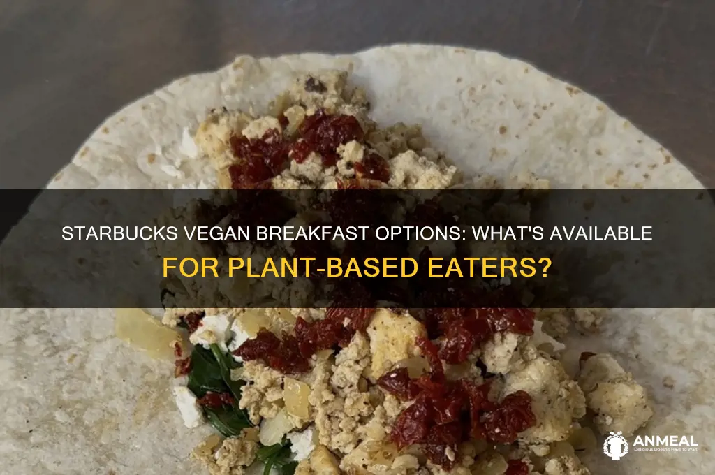 does starbucks have vegan breakfast