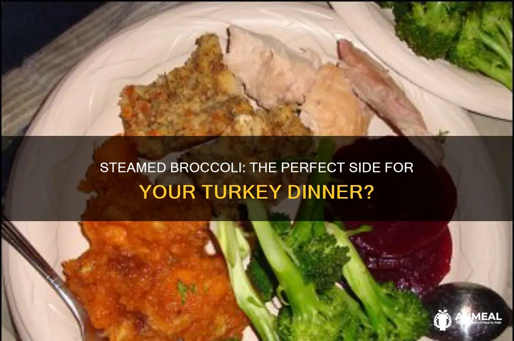 does steamed broccoli go with turkey dinner