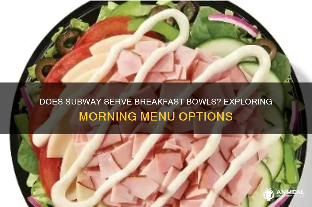 does subway have breakfast bowls