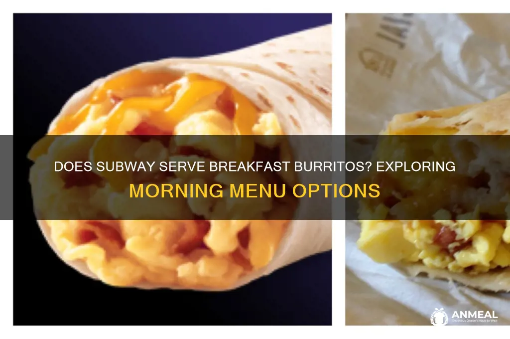 does subway have breakfast burritos
