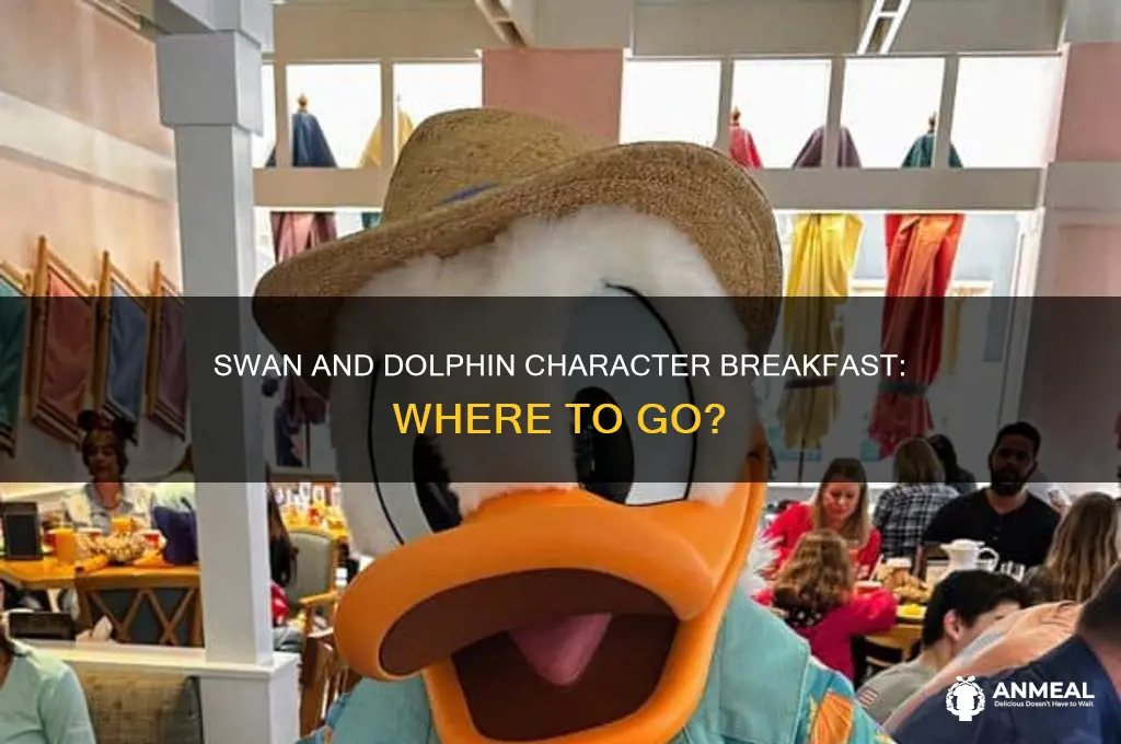 does swan have character breakfast or dolphin