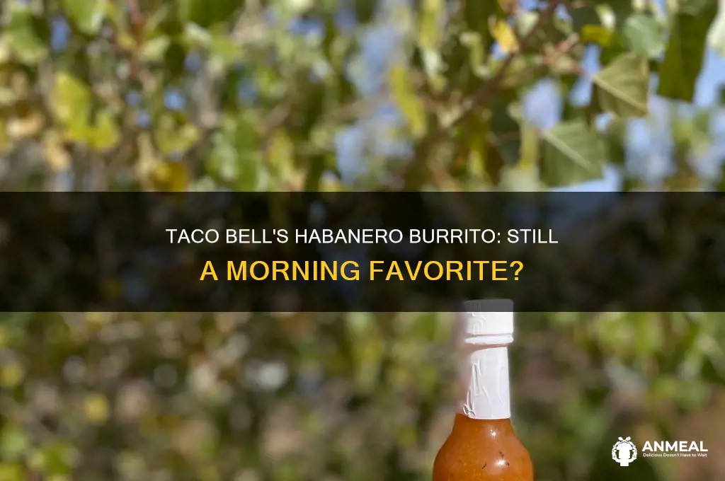 does taco bell still have the habanero breakfast burrito