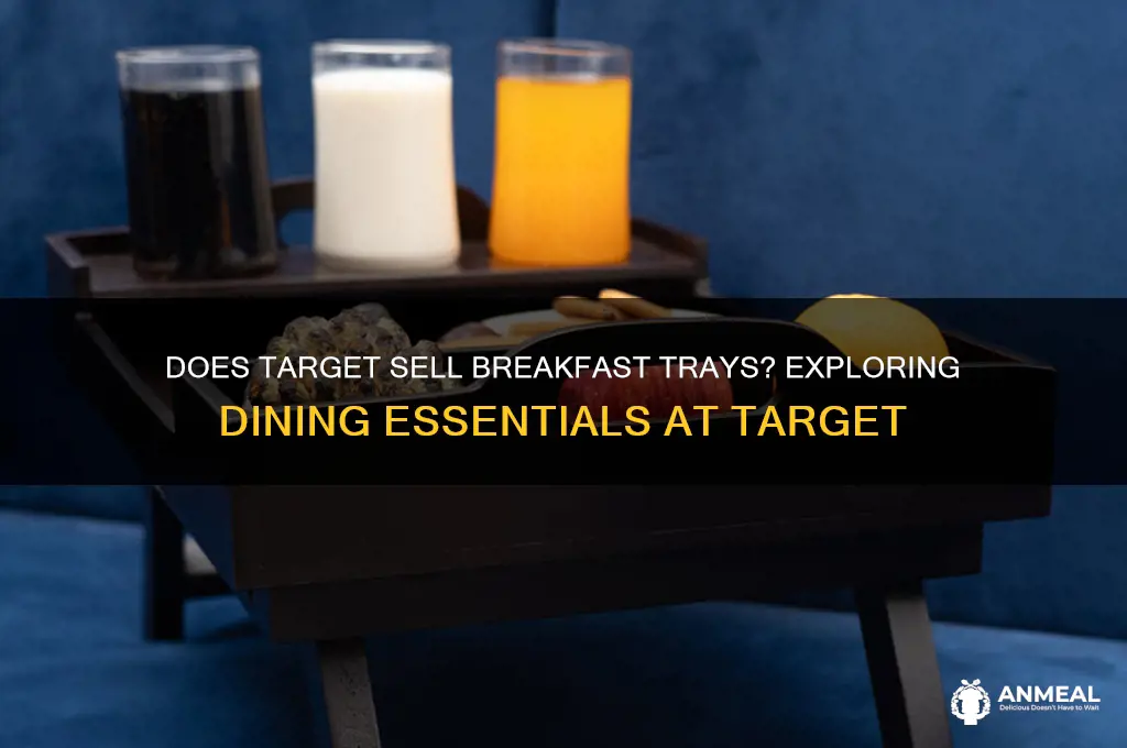 does target sell breakfast trays