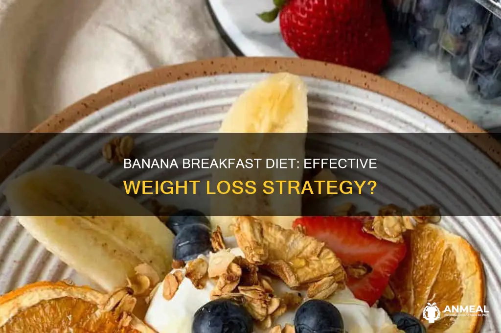 does the banana breakfast diet work