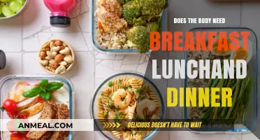 Eating Three Meals a Day: Necessary or Not?