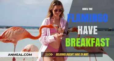 Do Flamingos Eat Breakfast? Uncovering Their Morning Feeding Habits