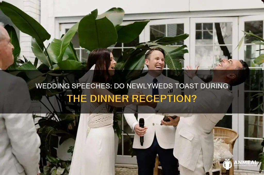 does the wedding couple give a speech during dinner