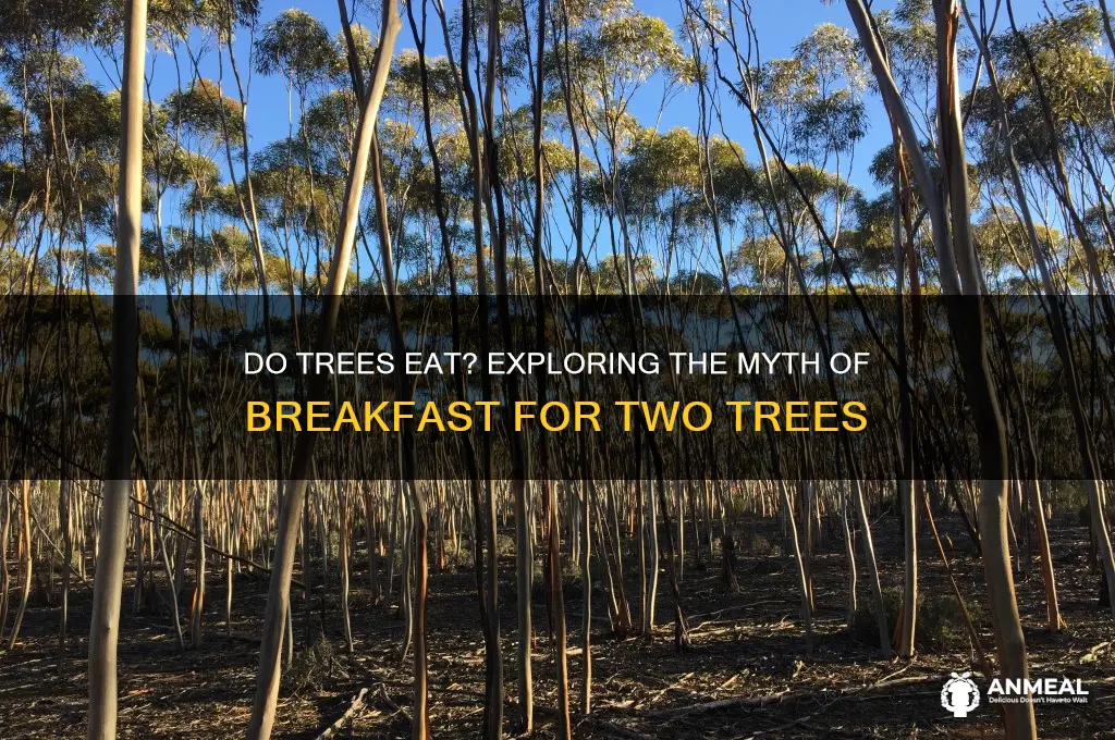 does two trees have breakfast