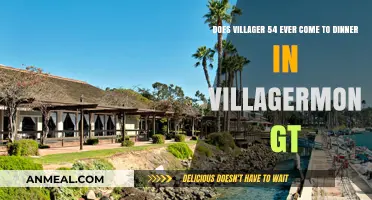 Villager 54's Dinner Mystery in Villagermon GT Explained