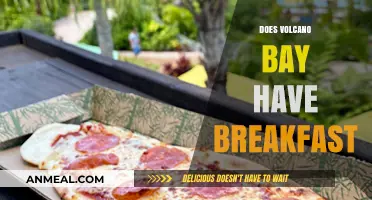 Does Volcano Bay Serve Breakfast? Your Morning Dining Guide