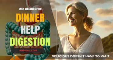 Walking After Dinner: A Digestive Aid or Just a Myth?