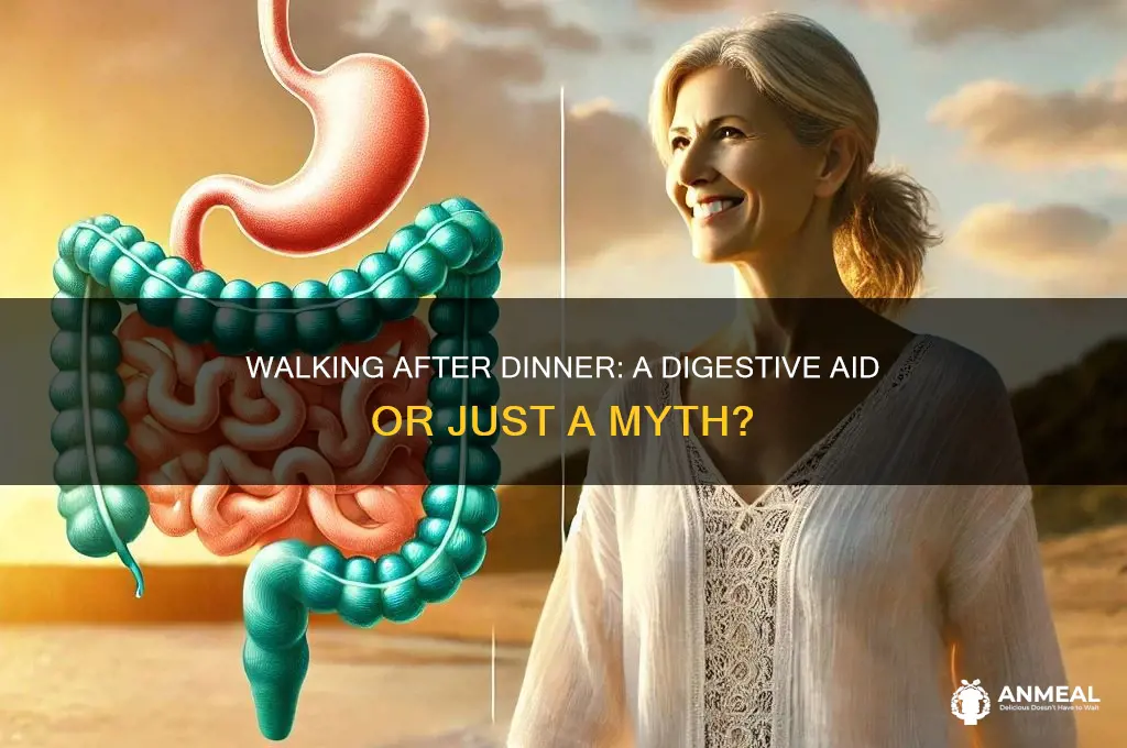 does walking after dinner help digestion
