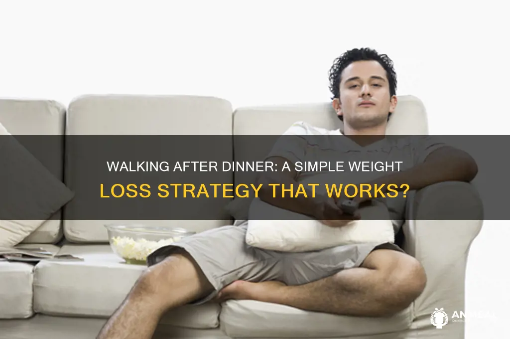 does walking after dinner help weight loss