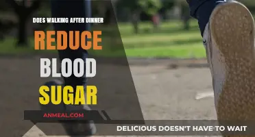 Walking After Dinner: A Simple Way to Lower Blood Sugar?