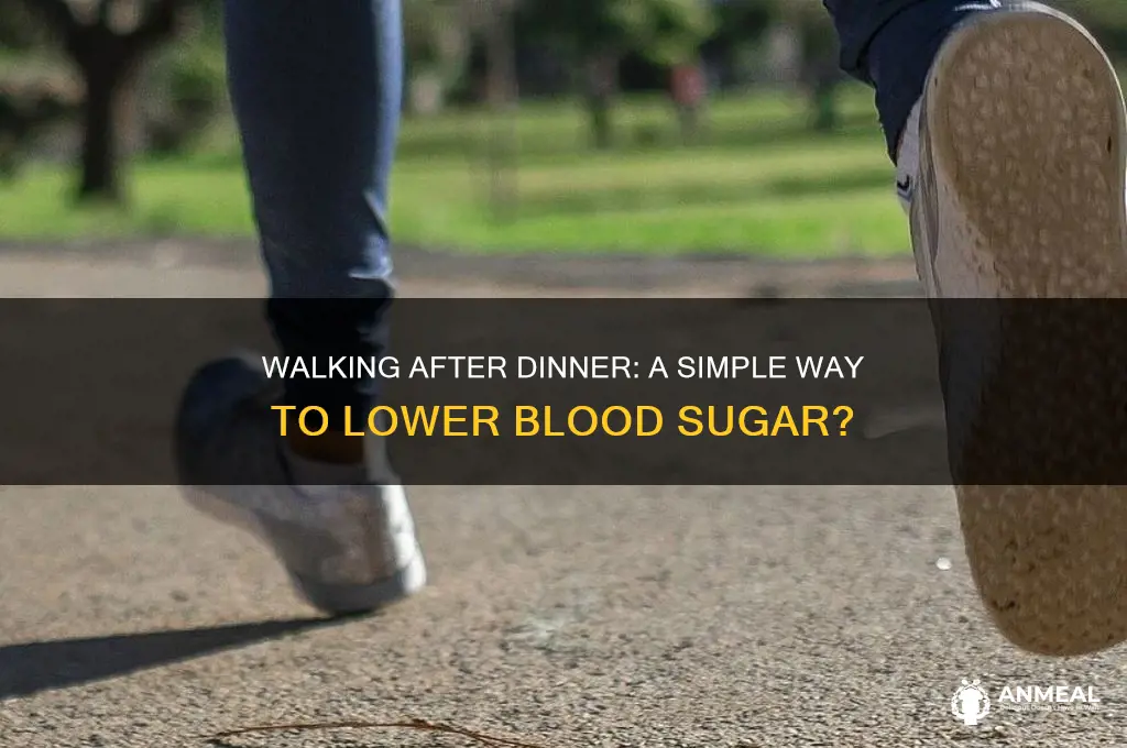 does walking after dinner reduce blood sugar