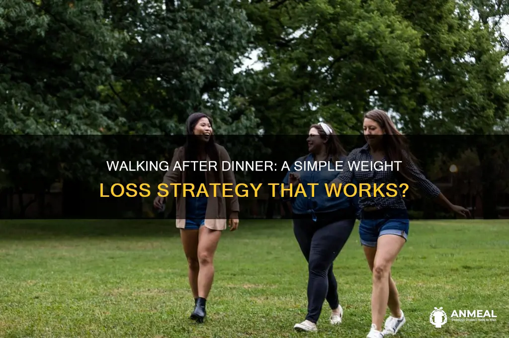 does walking after dinner reduces weight