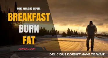 Morning Walks: An Effective Fat Burner?