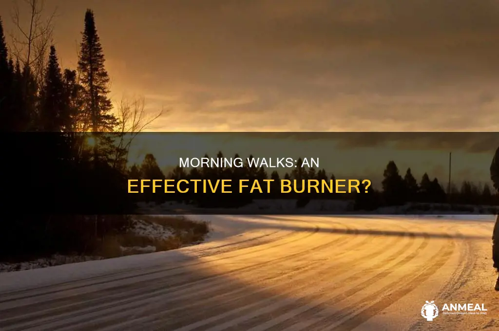 does walking before breakfast burn fat