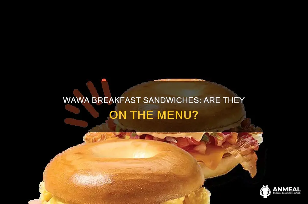 does wawa have breakfast sandwiches