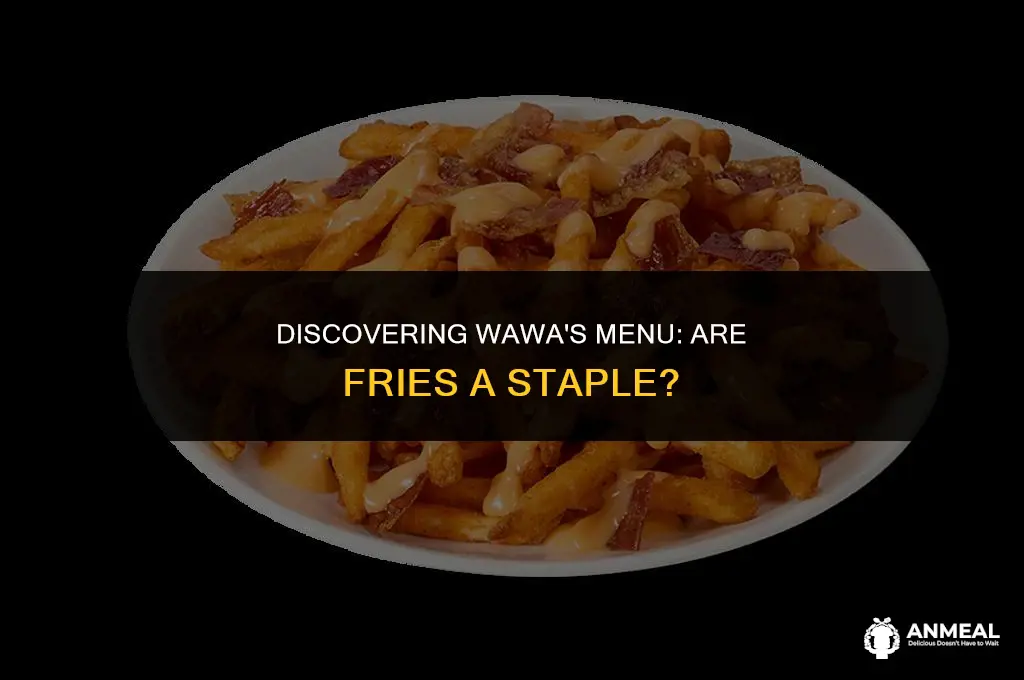 does wawa have fries