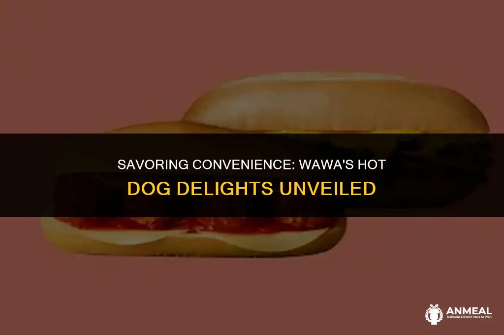 does wawa have hot dogs