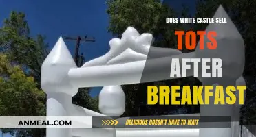 White Castle's Tots: All-Day Breakfast?
