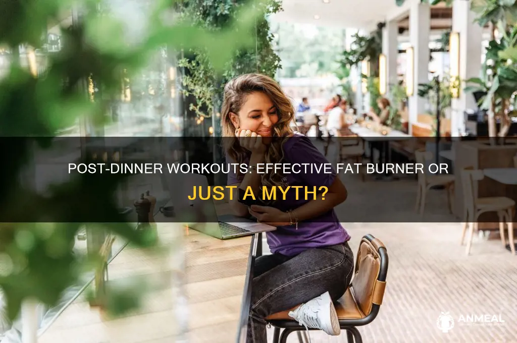 does working out after dinner burn fat or not