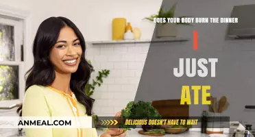How Your Body Processes and Burns the Dinner You Just Ate