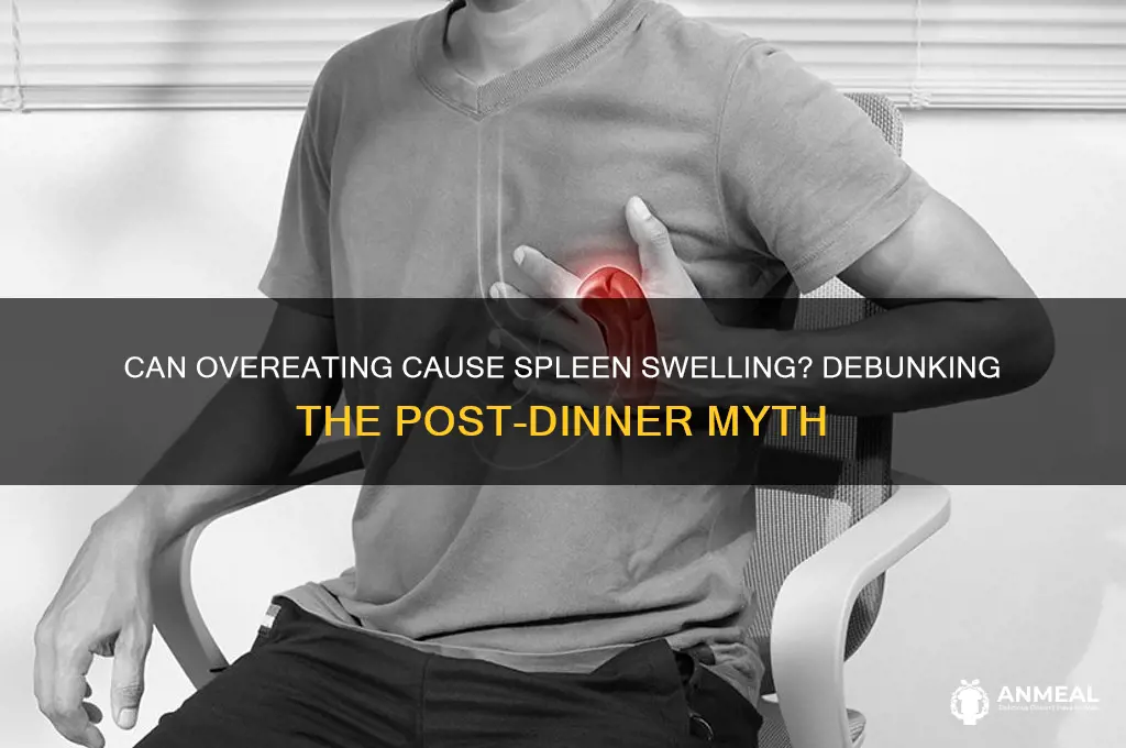 does your spleen naturally swell up after a big dinner