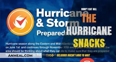 Hurricane Snacks Survival Guide: Why You Shouldn't Devour Them All