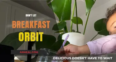 Breakfast Matters: Ground Your Morning Routine, Avoid the Orbit