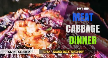 Delicious Meatless Cabbage Dinner Ideas: Simple, Healthy, and Satisfying Recipes