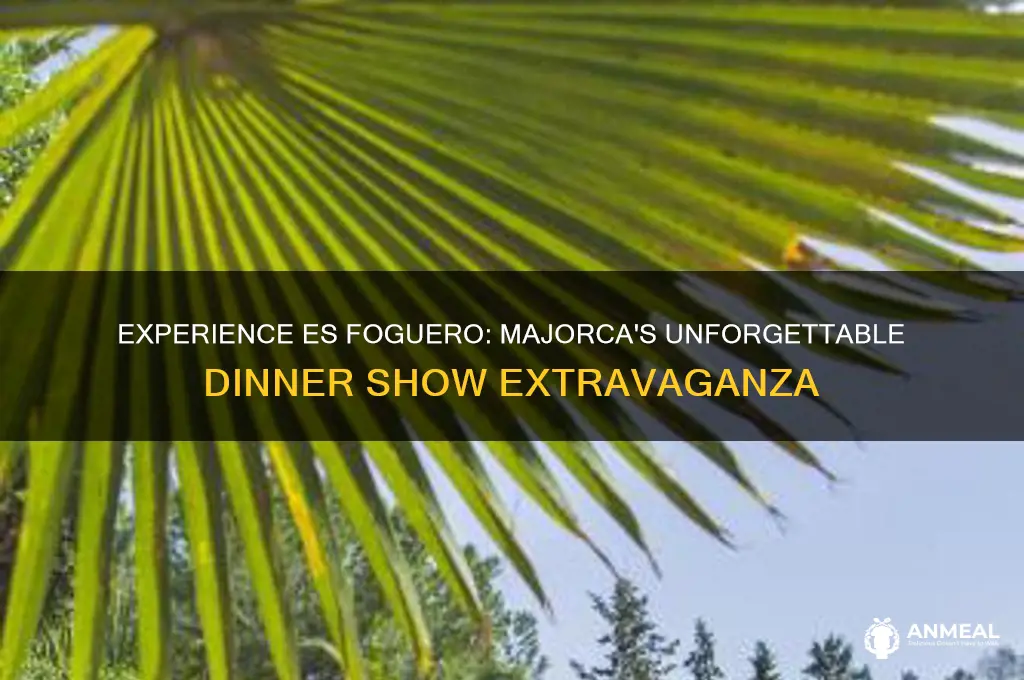 es foguero dinner show majorca